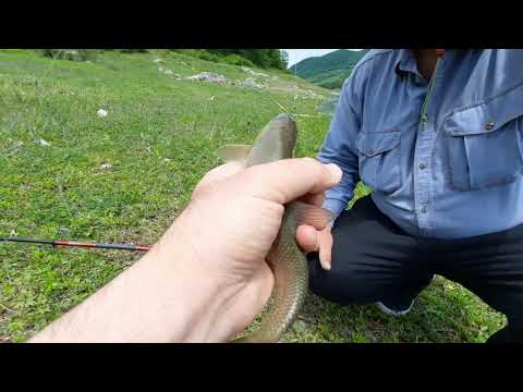 სიონის წყალსაცავი Light Fishing Sioni Lake